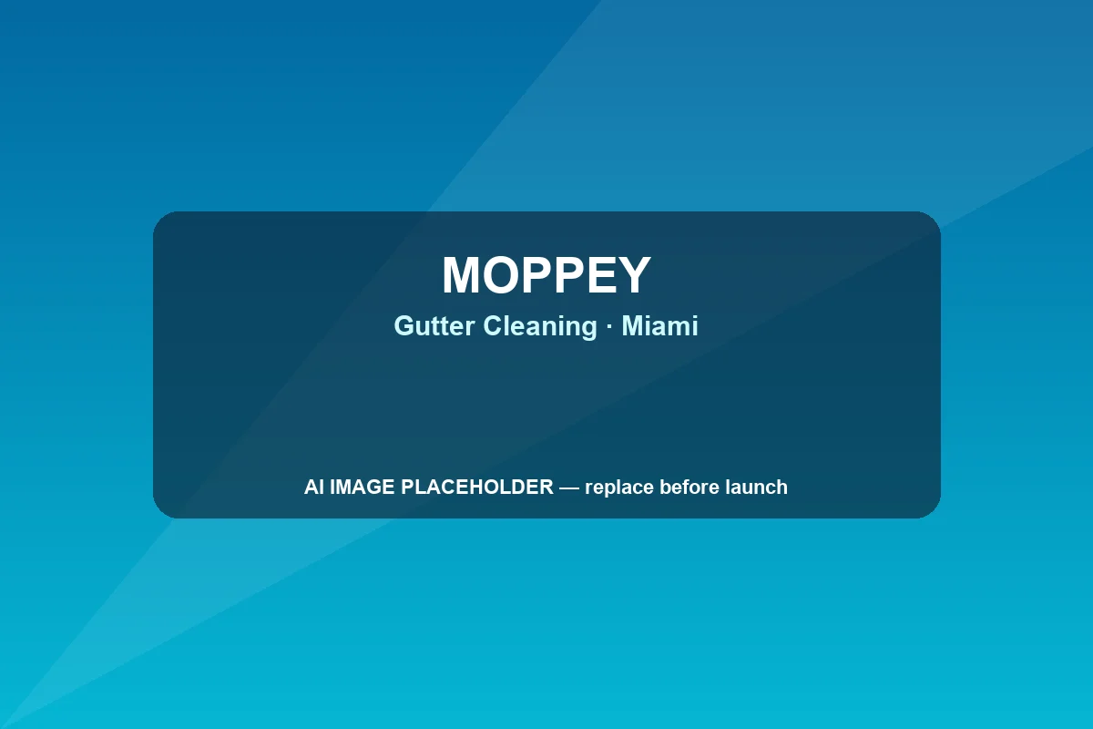 Gutter cleaning on a one-story South Florida home