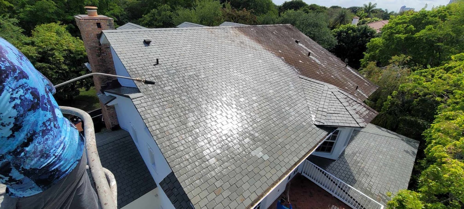 Black algae streaks on a Miami roof before cleaning