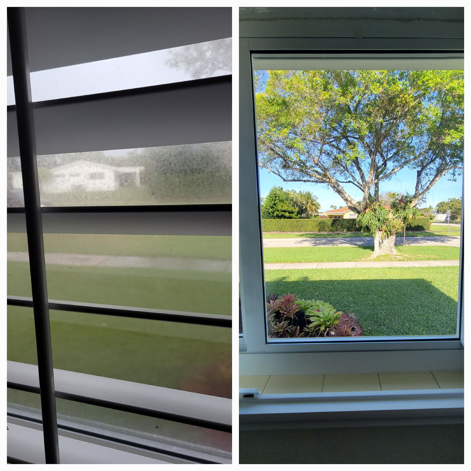 Clean window with a clear view in Miami